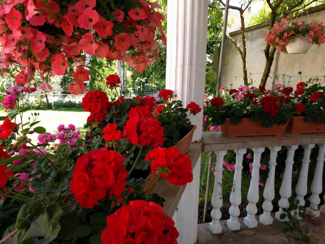 Casa Monica Hotel Baile Felix Luaran gambar